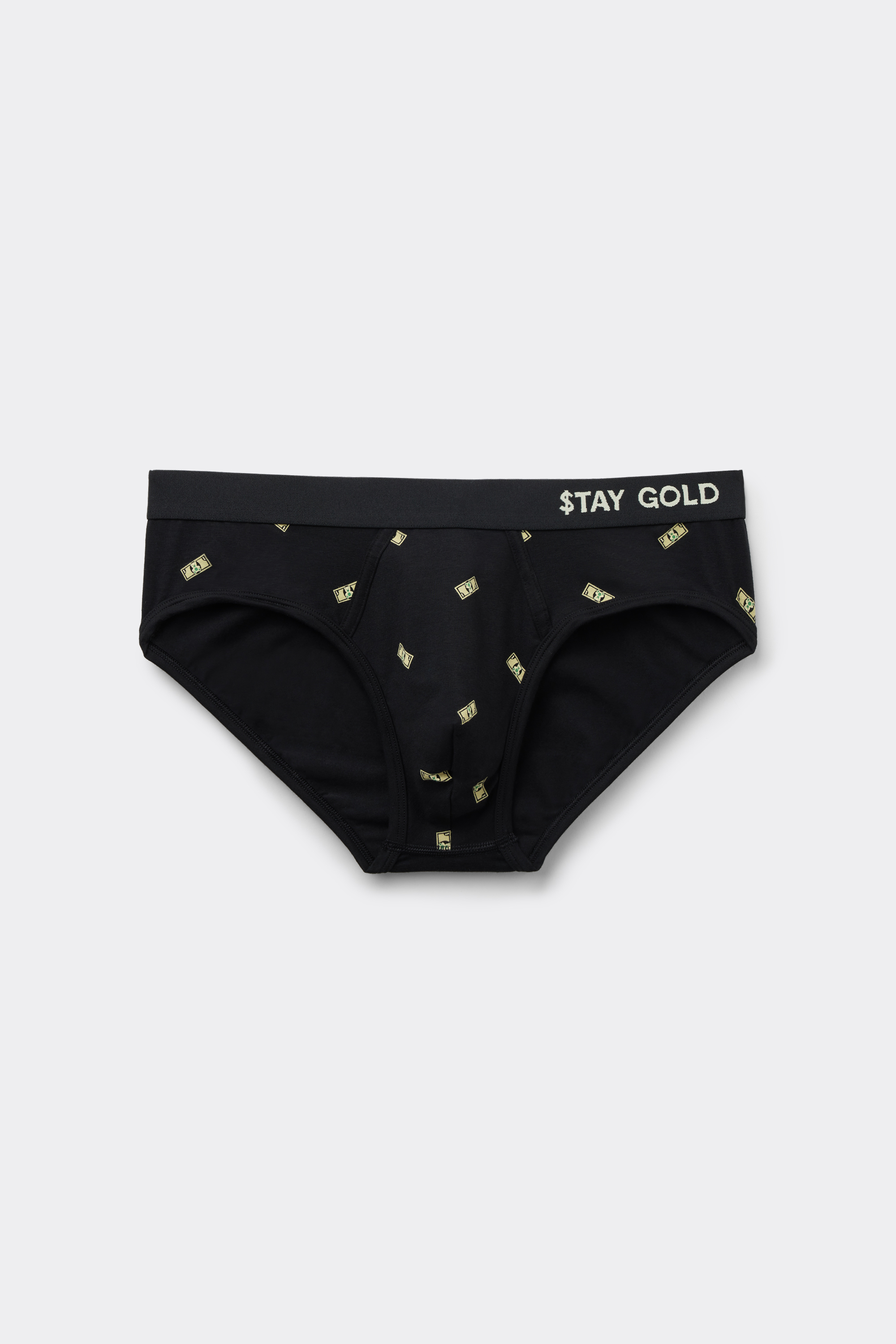 Money Print Superior Cotton Briefs