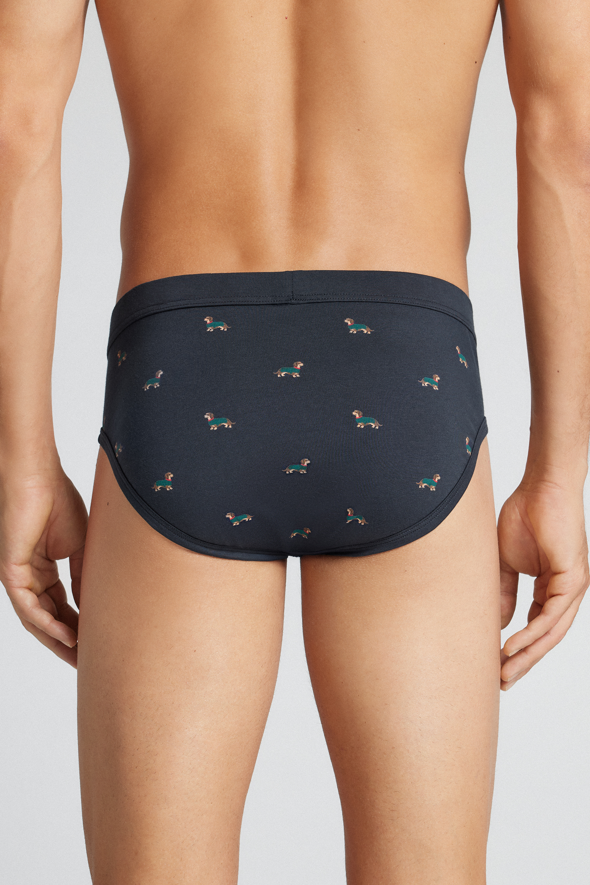 Alternative view of Men’s Dachshund Print Superior Cotton Briefs