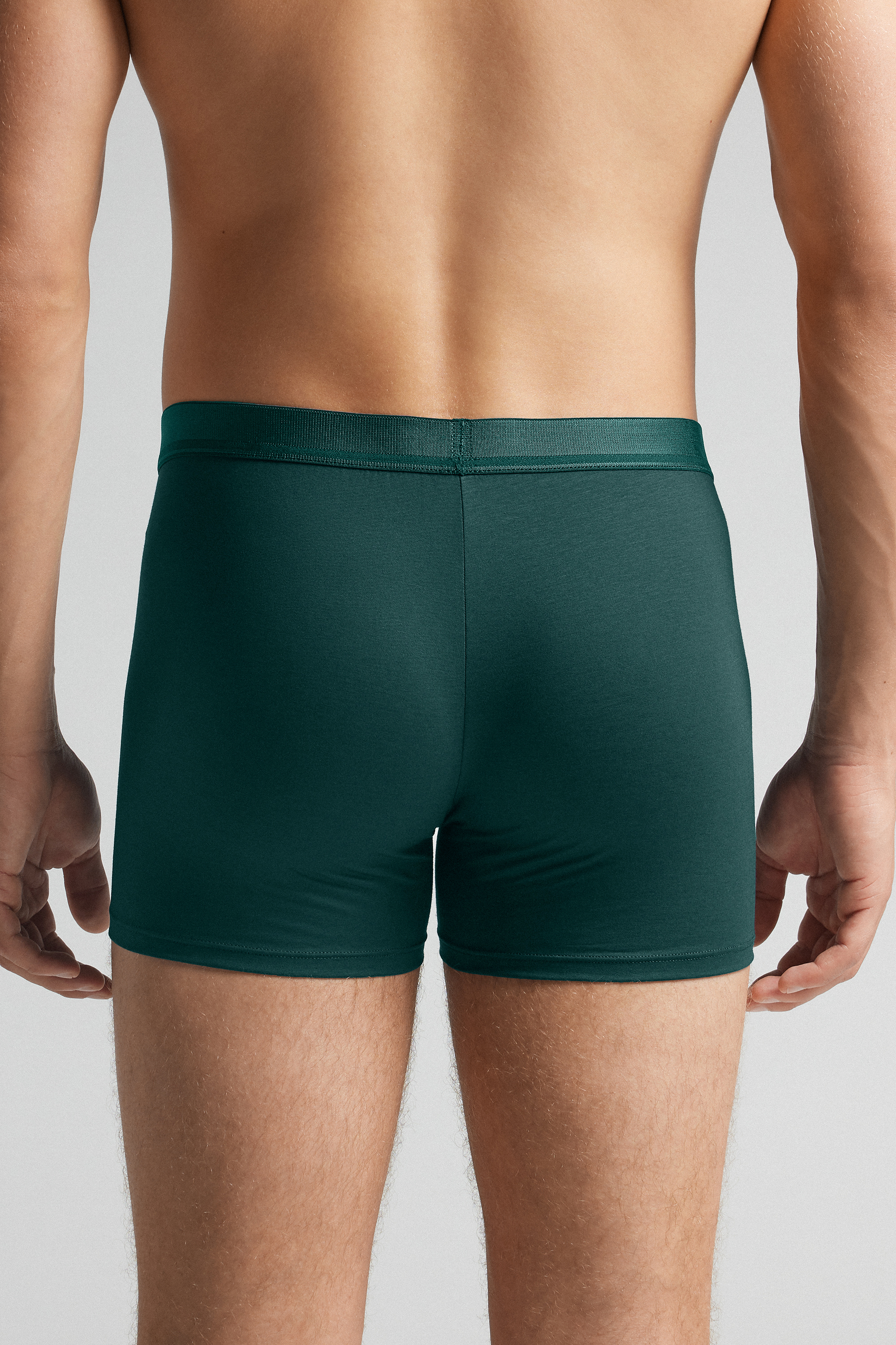 Alternative view of Mercerized Cotton Boxers with Logo filo Premium