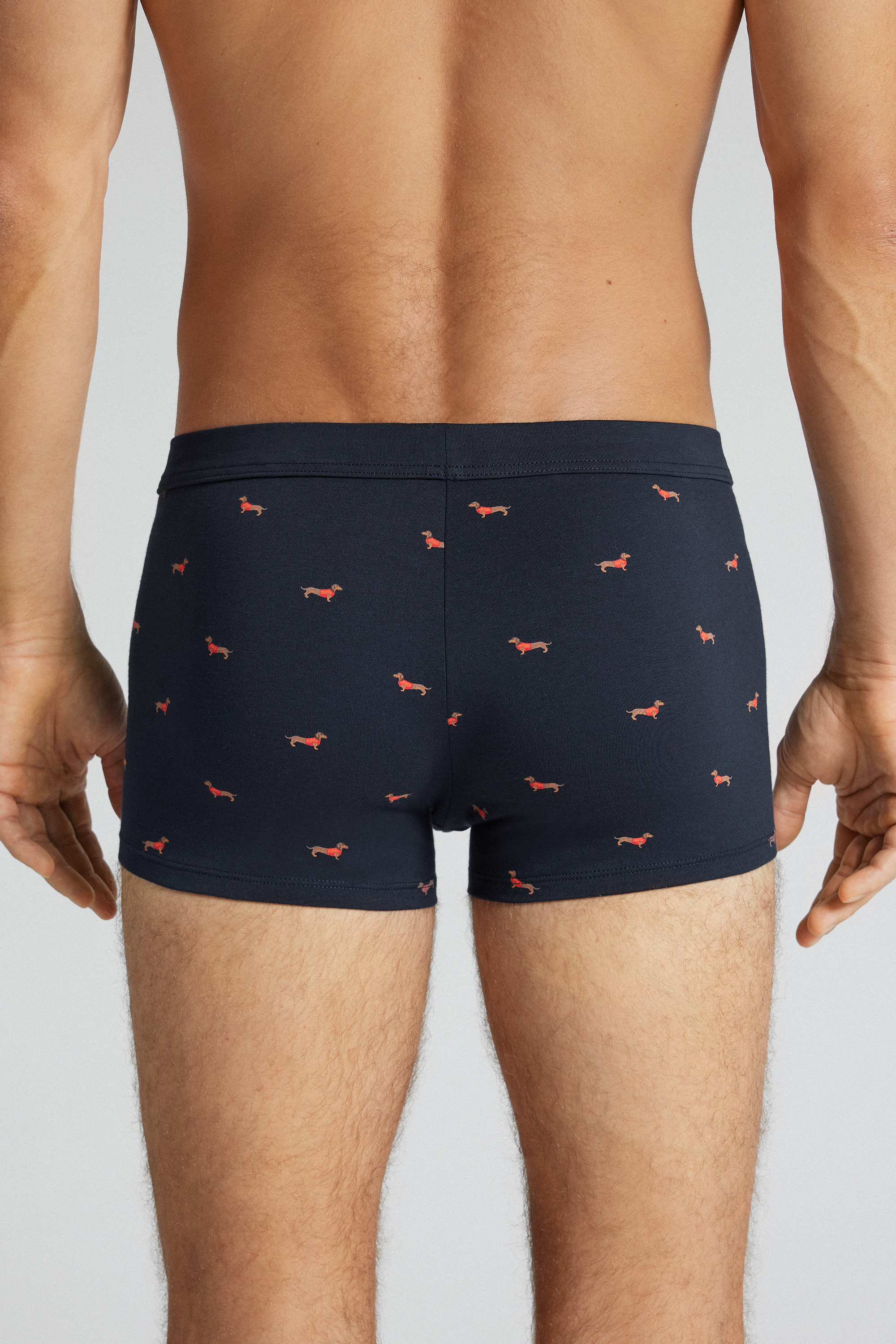 Alternative view of Dachshund Print Superior Cotton Boxers