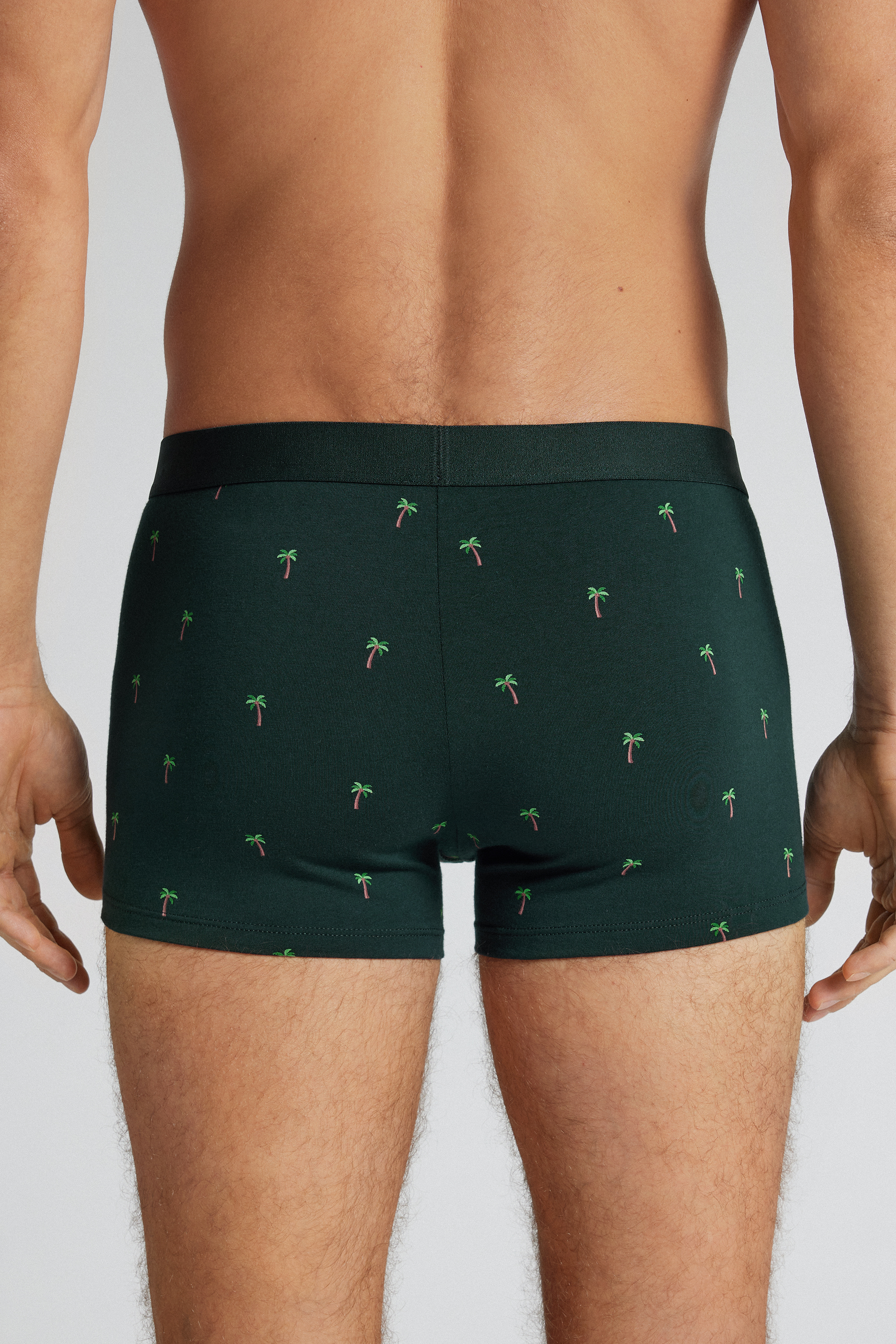 Alternative view of Palm Tree Print Superior Cotton Boxers