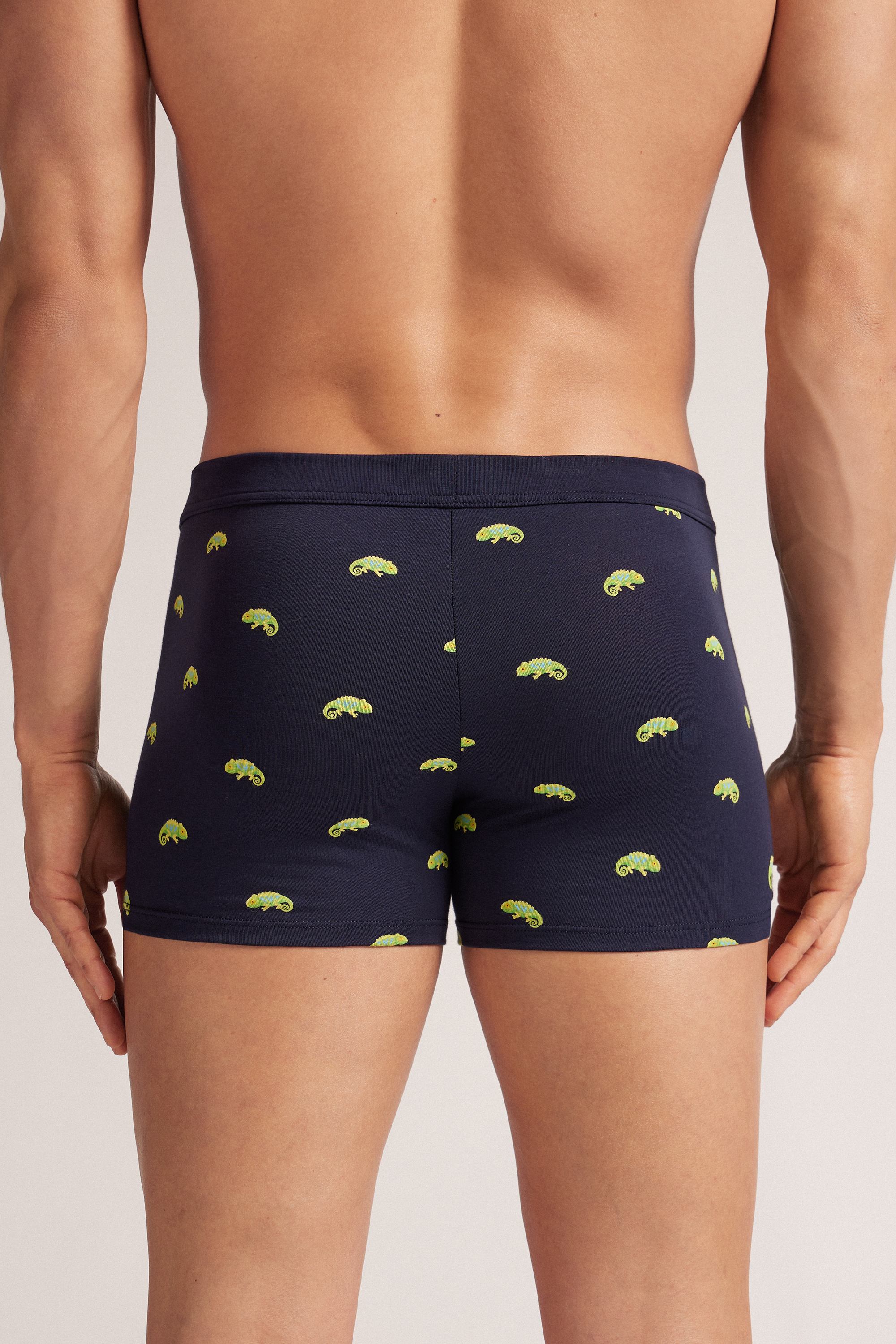 Alternative view of Chameleon Print Superior Cotton Boxers